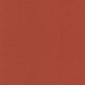 Decor Maison OAS (2727)