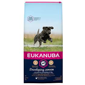 Eukanuba Dog Developing Junior Large Breed 3kg