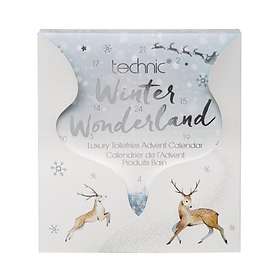 Technic Winter Wonderland Adventskalender 2019
