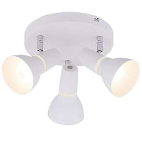 Scanlight Tobago (3L)