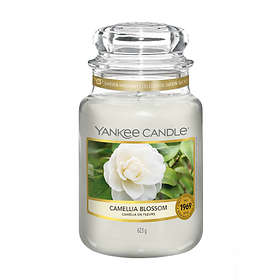 Yankee Candle Large Jar Soft Blanket au meilleur prix - Comparez les offres  de Bougies et bougies parfumées sur leDénicheur