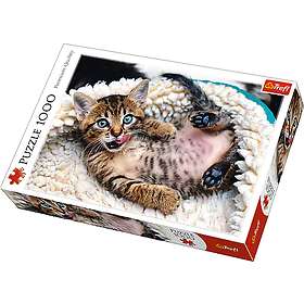 Trefl Premium Quality Palapelit Cheerful Kitten 1000 Palaa