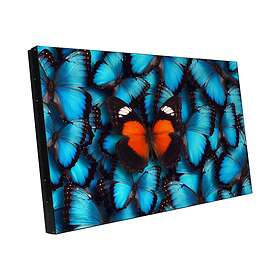 Barco LVD5521B 55" Full HD