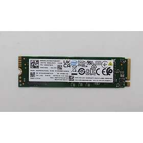 Lenovo W125734889 512GB