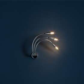 Catellani & Smith Turciù 3