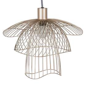 Forestier Papillon XS