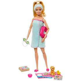 Barbie Wellness Doll Spa (GJG55)