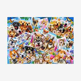 Bluebird Puzzle Pussel Selfie Pet Collage 1000 Bitar