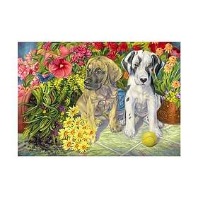 Bluebird Puzzle Double Trouble 1000 Pieces