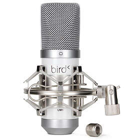 Bird UM1 au meilleur prix - Comparez les offres de Microphones sur  leDénicheur