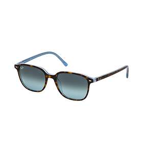 Ray-Ban RB2193 Leonard Gradient