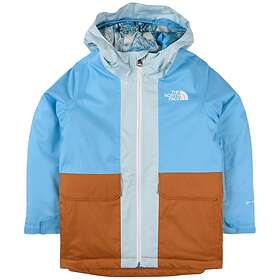 The North Face Freedom Insulated Jacket (Unisex)
