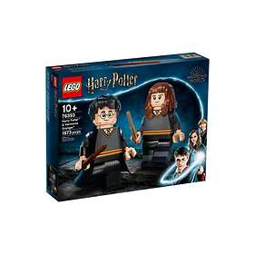 LEGO Harry Potter 76393 Harry Potter og Hermine Grang