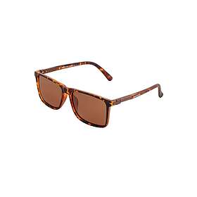 Breed Caelum Polarized