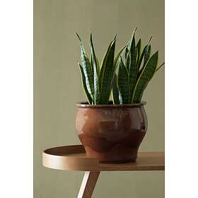 Ellos Agnes Ø22.5cm