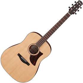 Ibanez AAD100E (E)