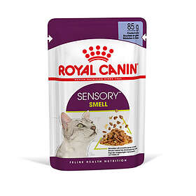 Royal Canin FHN Sensory Smell in Jelly 48x0.085kg
