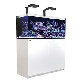 Red Sea Reefer Deluxe 250