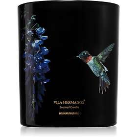 Vila Hermanos Jungletopia Hummingbird Tuoksukynttilä 200g
