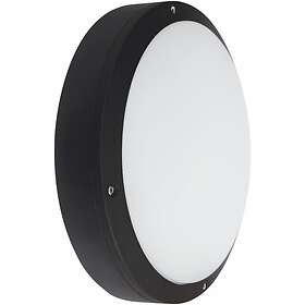 Malmbergs Acis (18W)