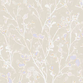 Midbec Alder Pastel (LOT405)