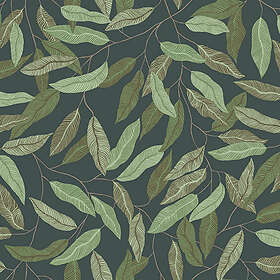 Midbec Florian (15905)