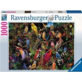 Ravensburger Puzzle Birds Of Art 1000 Brikker