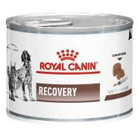 Royal Canin Recovery Ultra Soft Mousse 12x0,195kg