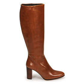 Fericelli Pacha (Femme)