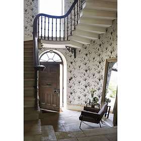 Harlequin Lotus (110880)