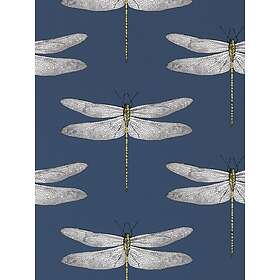 Harlequin Demoiselle (111243)