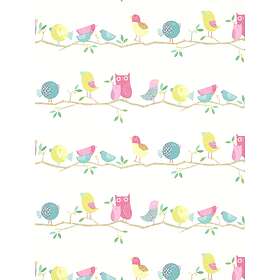 Harlequin What a Hoot (HLTF112650)