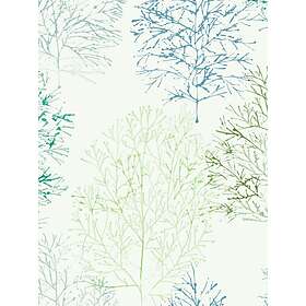 Scion Soetsu (NZAW112002)