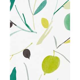 Scion Oxalis (NZAW11994)