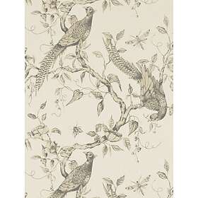 Zoffany Darnley (312848)