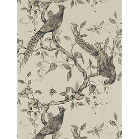 Zoffany Darnley (312849)