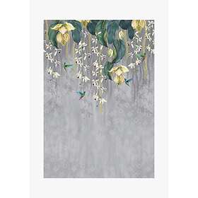 Osborne & Little Trailing Orchid (W7334-02)