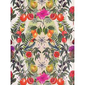 Matthew Williamson Talavera (W7263-02)
