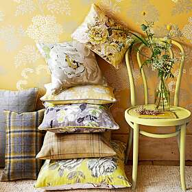 Sanderson Cow Parsley (DOPWCO105)