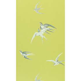 Sanderson Swallows (DVIWSW101)