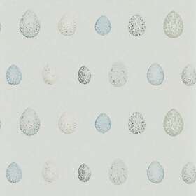 Sanderson Nest Egg (DEBB216504)