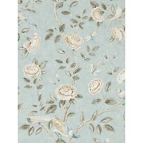 Sanderson Andhara (DCPW216797)