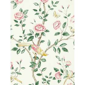 Sanderson Andhara (DCPW216795)