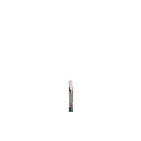 Winsor & Newton Winton Long Flat Size 1 Pensel