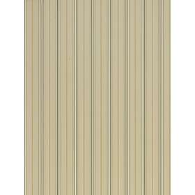 Ralph Lauren Pritchett Stripe (PRL036/02)