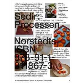 Sedir: Processen