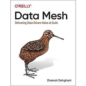 Data Mesh