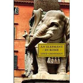 An Elephant in Rome