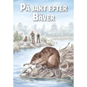 På jakt efter bäver