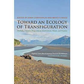 Toward an Ecology of Transfiguration